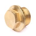 AG Brass Parallel Plug (3/4" BSP Male)