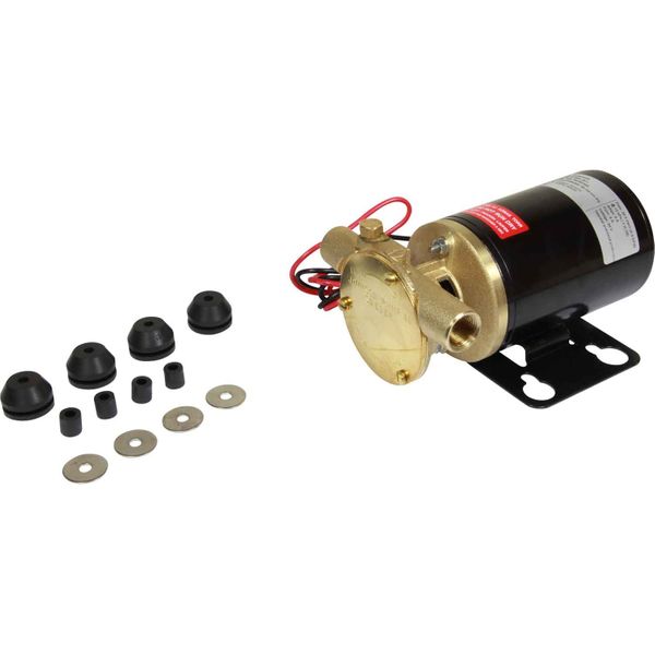 Johnson F3B-19 Electric Motor Pump (24V / 21lpm / 3/8" BSP)