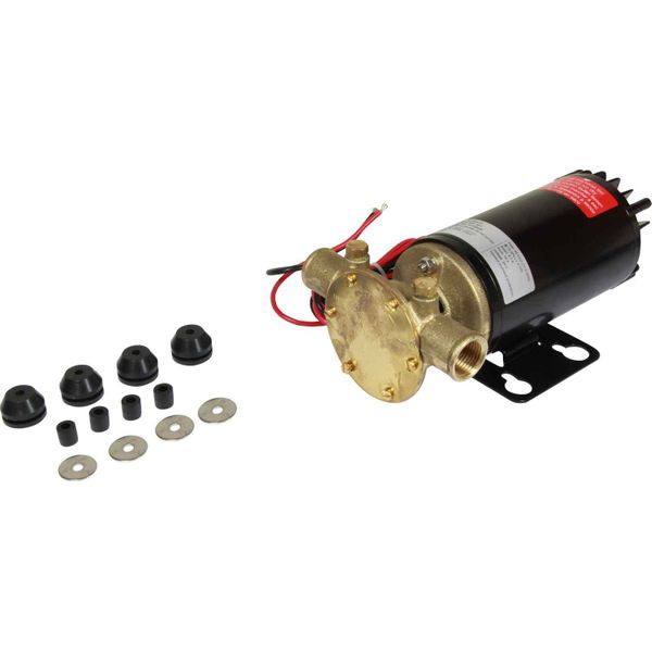 Johnson F4B-19 Electric Motor Pump (24V / 48lpm / 1/2" BSP)