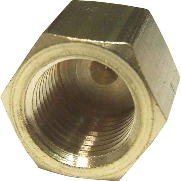 Maestrini Brass Blanking Cap (1/4" BSP Female)