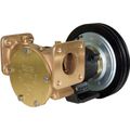 Jabsco 50220-0011 Bronze Clutch Pump (12V / 1-1/2" Flange / Twin A)