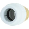 JG Speedfit Tap Connector Fitting For 22mm Pipe (3/4" BSP Female)