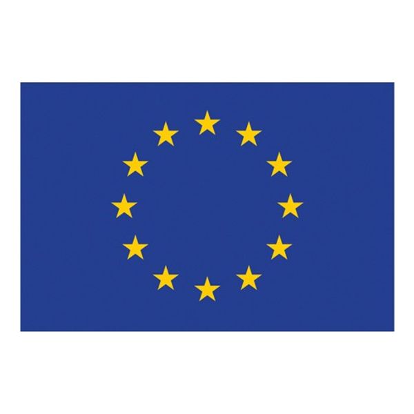Flag Printed European Community (30 x 45cm)