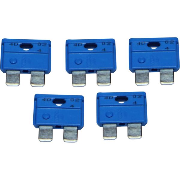 AMC Blade Fuse (15 Amp / 5 Pack)