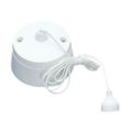 2 Way Ceiling Pull Cord Switch 10A