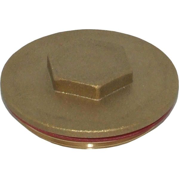 Plug for Surecal Immersion Heater (2-1/4" BSP)