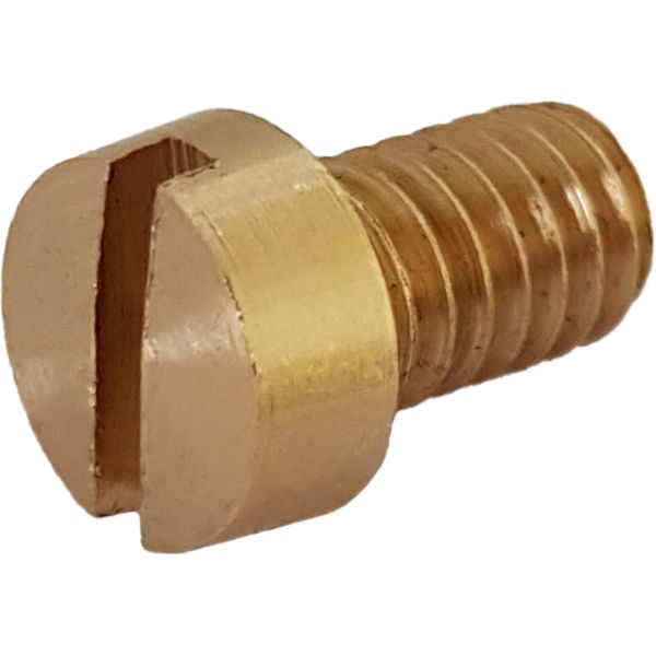 Johnson Cam Screw 01-46794-01 for F7B-3, F7B-5, F7B-8 and F7B-9 Pumps