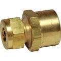 AG Female Compression Coupling (1/2" BSP to 3/8" Compression)