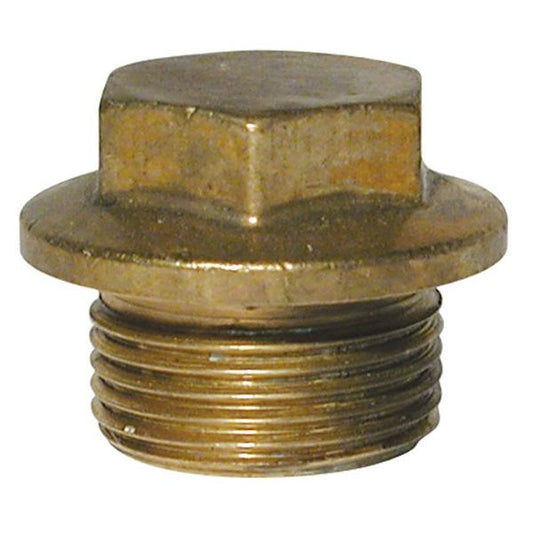 AG Brass Parallel Plug (3/4" BSP Male)