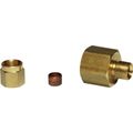 AG Female Compression Coupling (1/4" BSP to 6mm Compression)