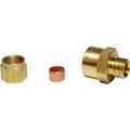 AG Female Compression Coupling (1/4" BSP to 8mm Compression)