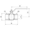 AG Gas Ball Valve (Lever Handle / 1/4" BSP Female)