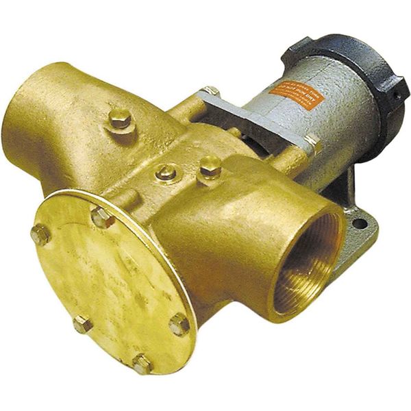 Johnson F9B-5600 Clutched Bilge / Deckwash Pump (12V-24V / 2" BSP)