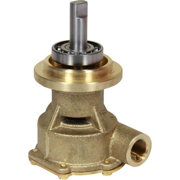 Johnson F4B9 Impeller Pump 10-35271-01