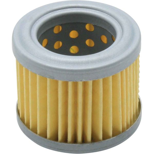 Fuel Filter Element For Electric Fuel Pump 173041