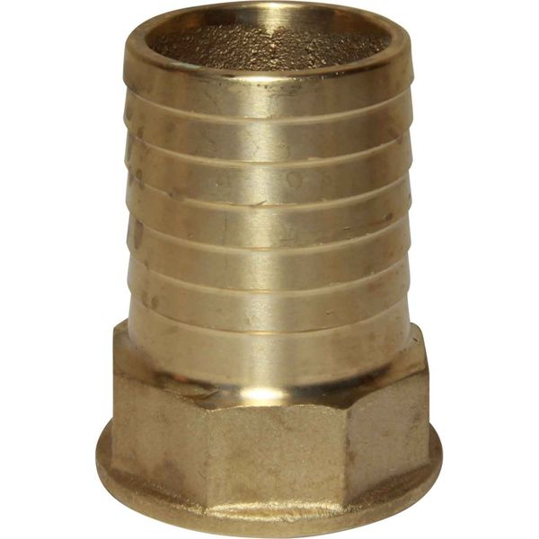 Maestrini Brass Straight Hose Tail (1-1/4" BSP Female to 40mm Hose)