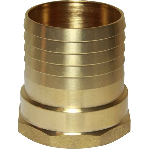 Maestrini Brass Straight Hose Tail (2-1/2" BSP Female to 70mm Hose)