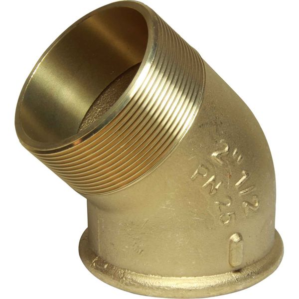Maestrini Brass Compact 45 Degree Elbow (2-1/2" BSPT Male/BSP Female)