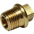 Maestrini Brass Tapered Plug (1/4" BSPT Male)