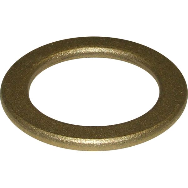 Maestrini Brass Washer (2" BSP Male)