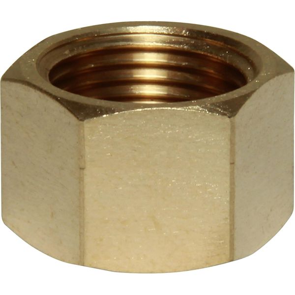 Maestrini Bronze Blanking Cap (3/8" BSP Female)