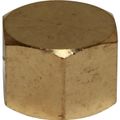 Maestrini Bronze Blanking Cap (1/2" BSP Female)