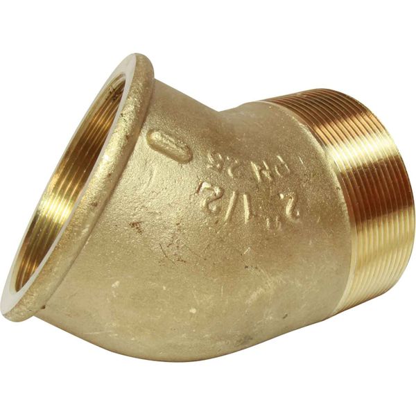 Maestrini DZR Compact 45 Degree Elbow (2-1/2" BSPT Male/BSPP Female)