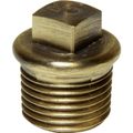 Maestrini DZR Tapered Plug (1/2" BSP Male)