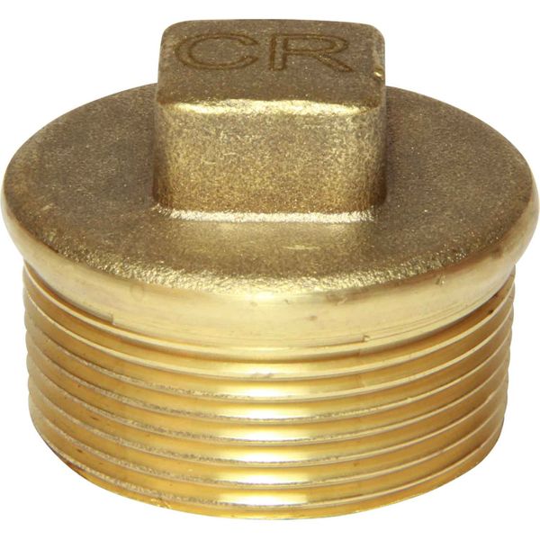 Maestrini DZR Tapered Plug (1-1/2" BSP Male)