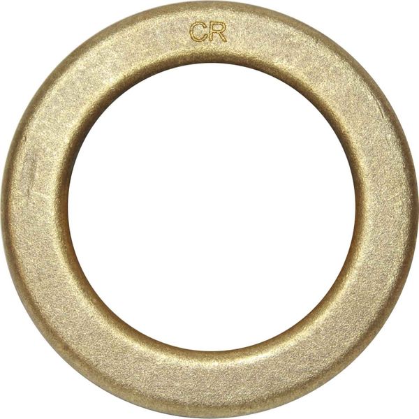 Maestrini DZR Brass Washer (3" BSP Male)