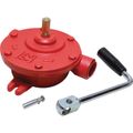 Patay V2 Rotary Pump (1" BSP / 40LPM)