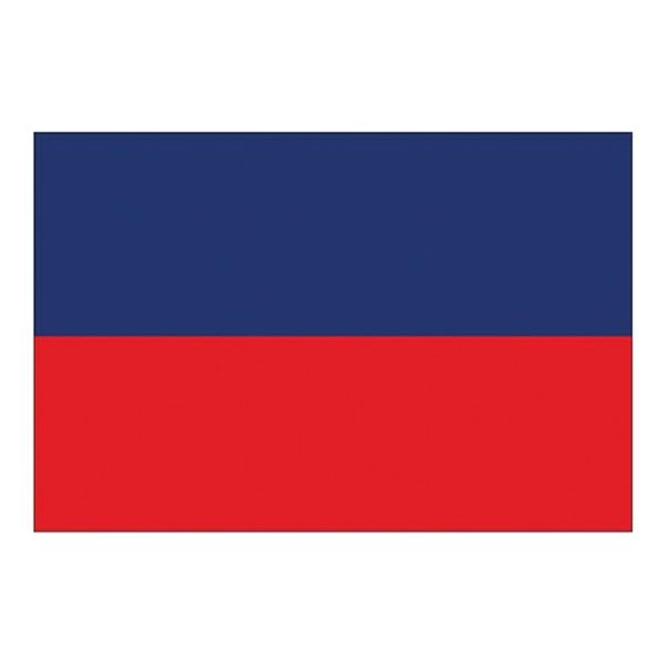 Flag International Code Signal E (30 x 45cm)