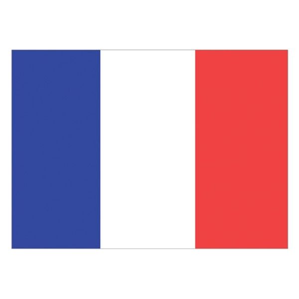 Flag France (30 x 45cm)