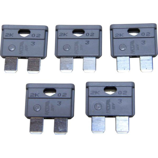 AMC Blade Fuse (2 Amp / 5 Pack)