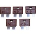 AMC Blade Fuse (7.5 Amp / 5 Pack)