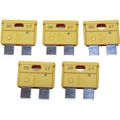 AMC Blade Fuse (20 Amp / 5 Pack)