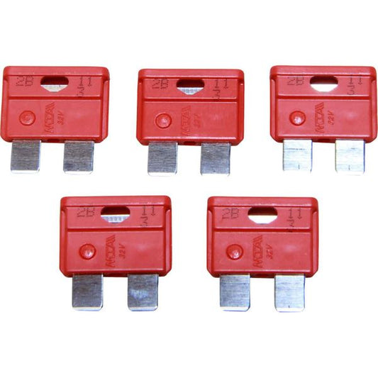 AMC Blade Fuse (40 Amp / 5 Pack)