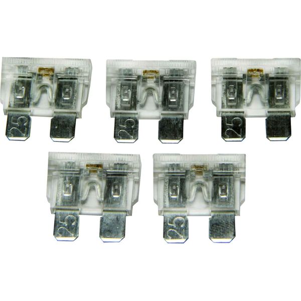 AMC LED Blade Fuse (25 Amp / 5 Pack)