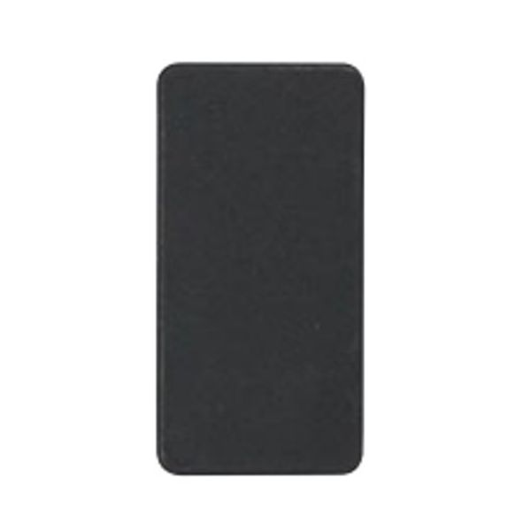 Carling V Series Panel Hole Blank (Black)