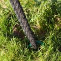 AG Spyrabase 400mm Mooring Ground Anchor