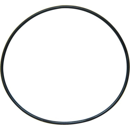 Sherwood 21525 O-Ring for Sherwood P2700 Series Pumps