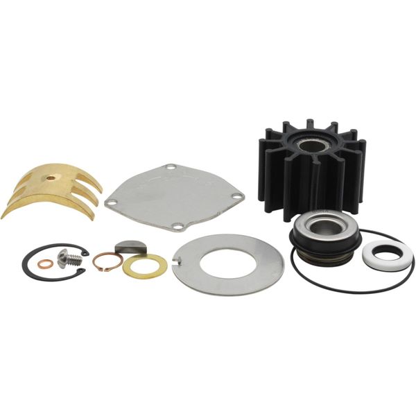 Sherwood 25009 Major Repair Kit for Sherwood P1016 Pumps