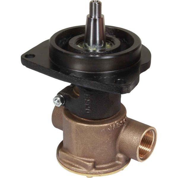 Jabsco Raw Water Pump (Ford / Flange Mounted / 1" Ports)