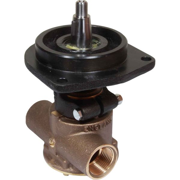 Jabsco Raw Water Pump (Ford / Flange Mounted / 1" Ports)