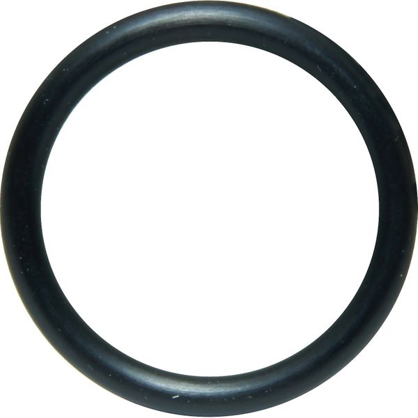 Jabsco Pump Shaft Seal O-ring for Jabsco Engine Cooling Pumps