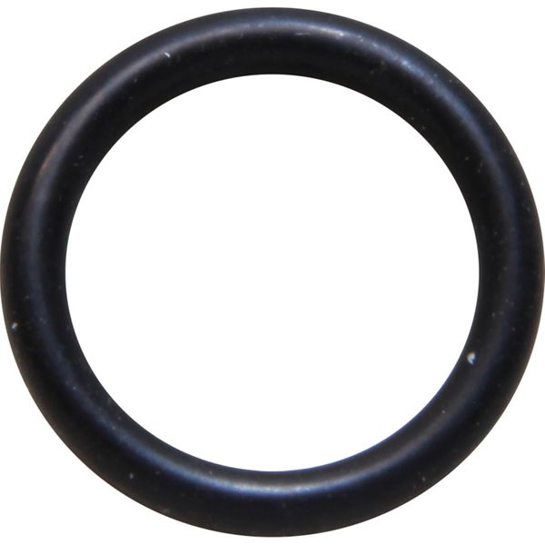 Sherwood 06602 O-Ring for Sherwood H5 Pump Shaft Slinger