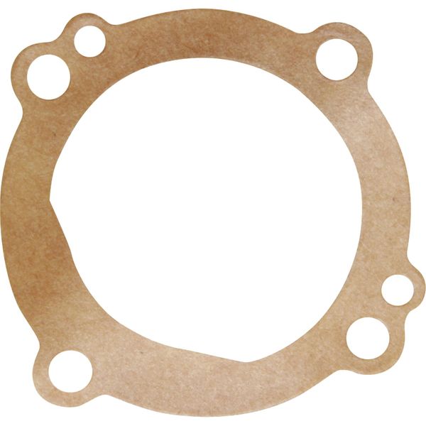 Sherwood 09917 Gasket for Sherwood E35 Pump End Cover