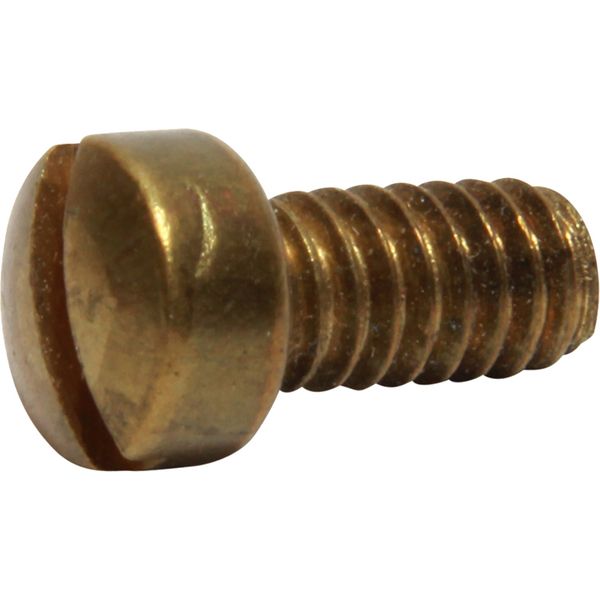 Sherwood Pump Cam Plate Screw 09919 for Sherwood Pumps