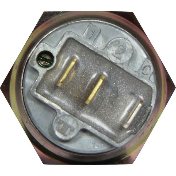 Teddington High Temperature Warning Switch (3/8"NPTF / 99°C)
